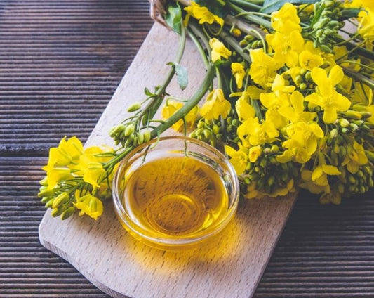 芥花籽油 Rapeseed Oil