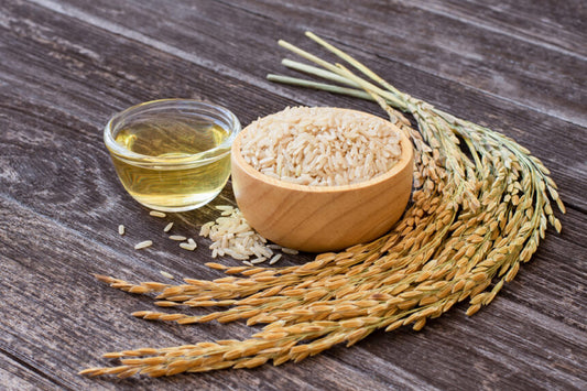 米糠油 Rice Bran Oil